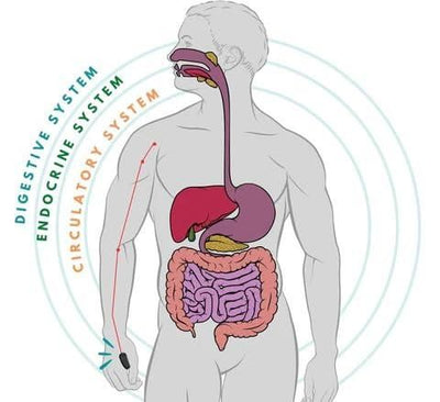Acuplus+ Suikercontrole Acupressuurpunt Clip