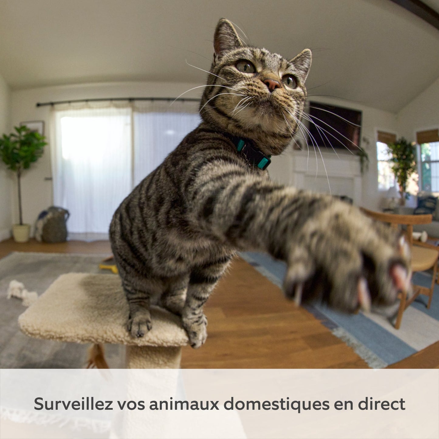 Draai- en Kantelbare Binnencamera (Pan-Tilt Indoor Camera)